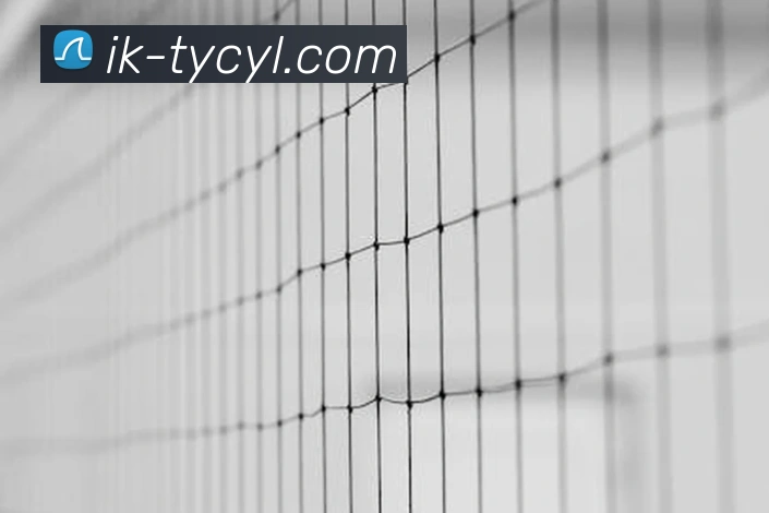 澳门太阳城服务体系